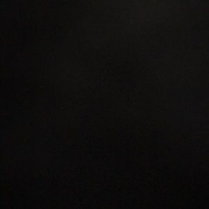 Meet your Posher, Ryder